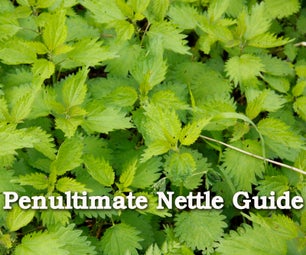 The Penultimate Nettle Guide