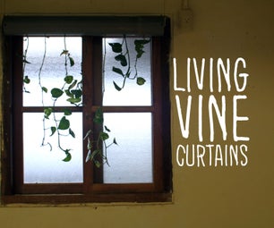 Living Vine Curtains